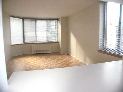 4th image of 250 W 89th St APT 14B