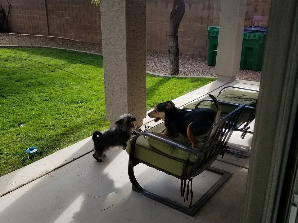 2nd image of 35811 W Cartegna Ln