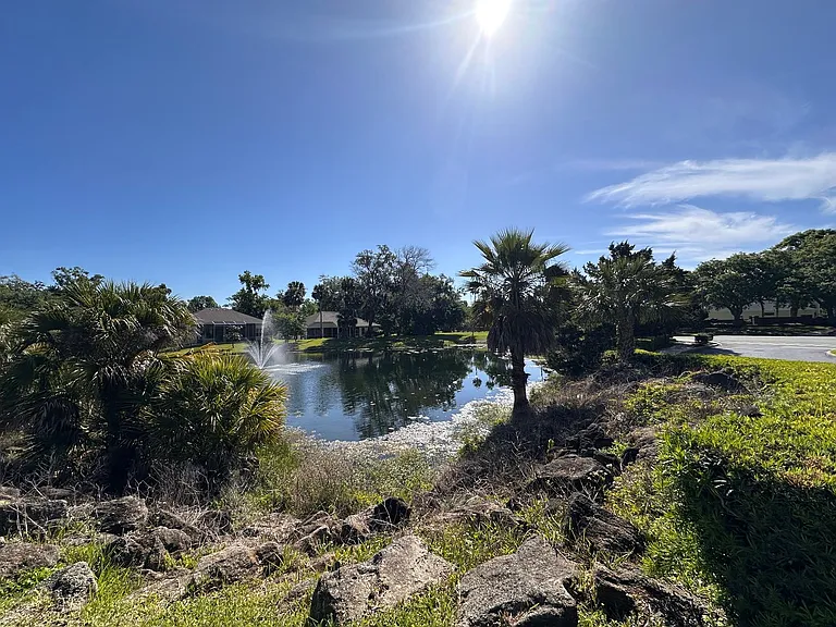 30 Wild Fern Ln — Photo 39