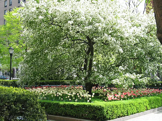 Rented by Santolo Brothers Realty, LLC | media 15