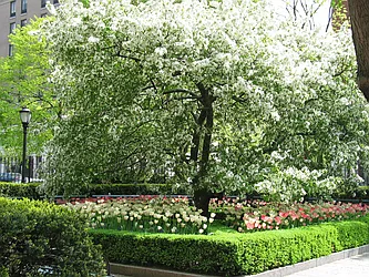 Rented by Santolo Brothers Realty, LLC