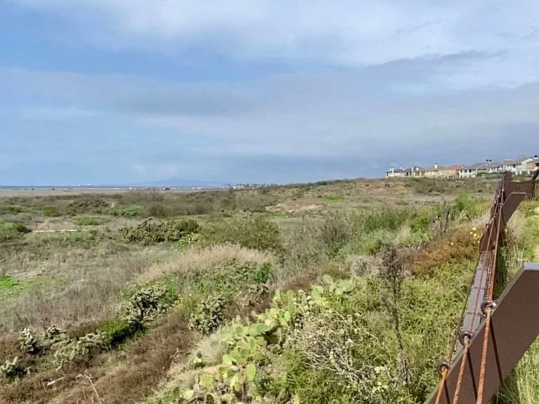Nature and wildlife walking distance nearby