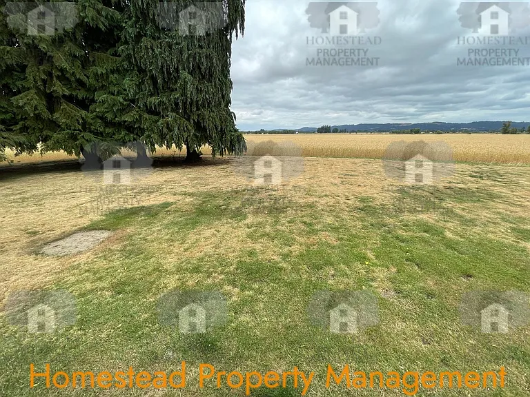 8555 Clow Corner Rd — Photo 21