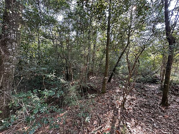 5th image of B & C New Ebenezer Rd