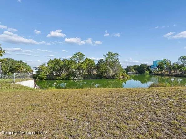 4033 Amberjack Dr, Hernando Beach, FL 34607