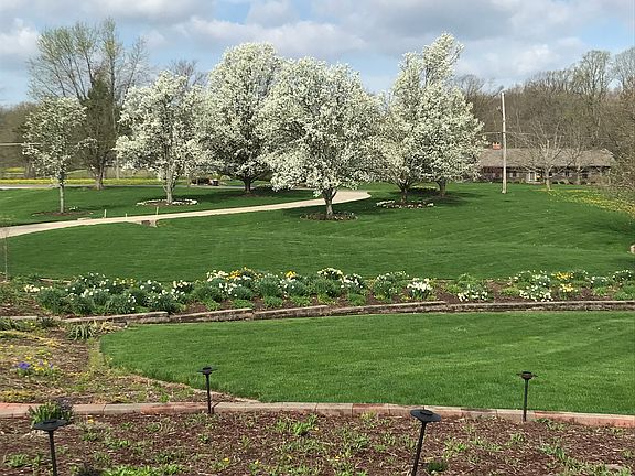 View from the front porch 