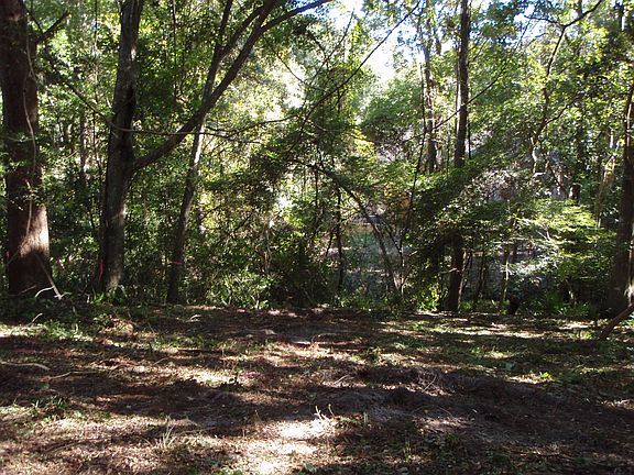 3rd image of 402 Camelia Trl