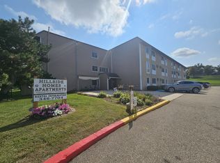 409 S Hudson Ave #1, Spring Valley, MN 55975