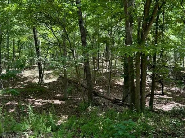 0 Hargrove Rd, Saint Robert, MO 65584