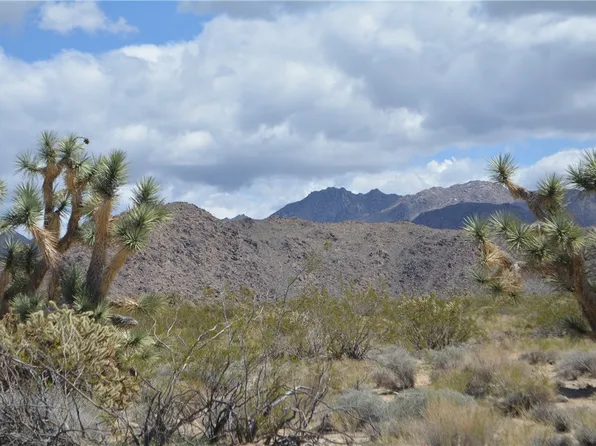 11869 S Dateland Rd, Yucca, AZ 86438