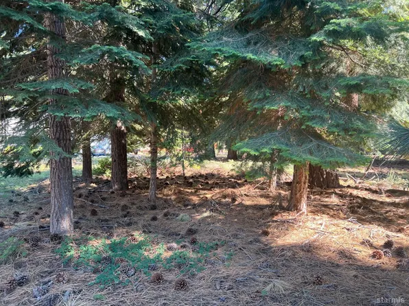 650 Tahoe Island Dr, South Lake Tahoe, CA 96150