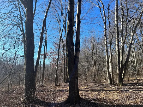 0 Buck Hill Rd, Frazeysburg, OH 43822
