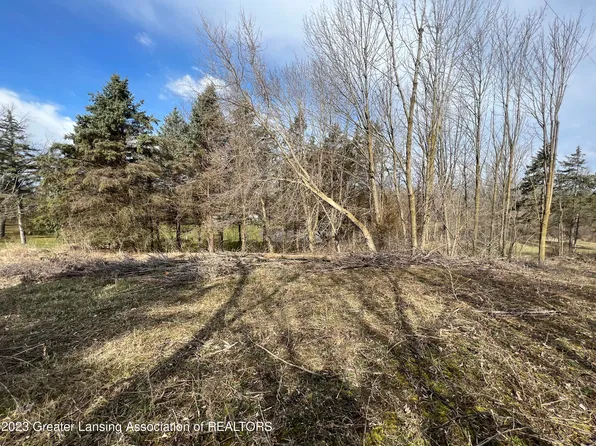 0 Clintonia Rd, Portland, MI 48875