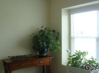 220 Ribbon Ct, Fruita, CO 81521