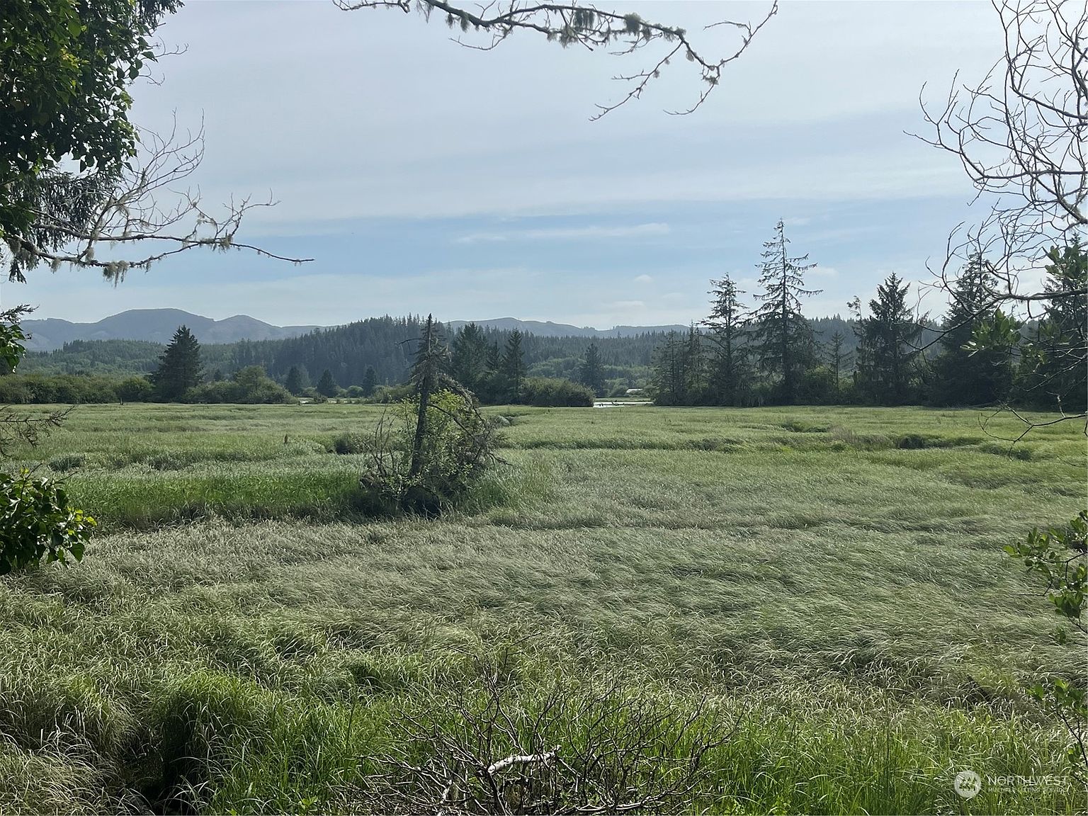 7 xx Holm Lane, Naselle, WA 98638 MLS 2132887 Zillow