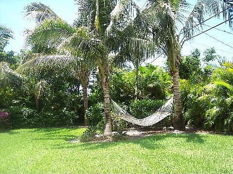 Backyard Hammock