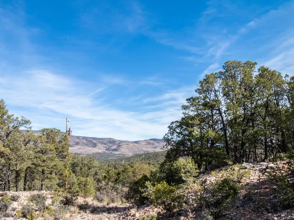 55 Surcingle Ave, Timberon, NM 88350