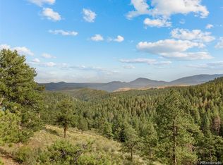 13817 Gordon Court, Pine, CO 80470