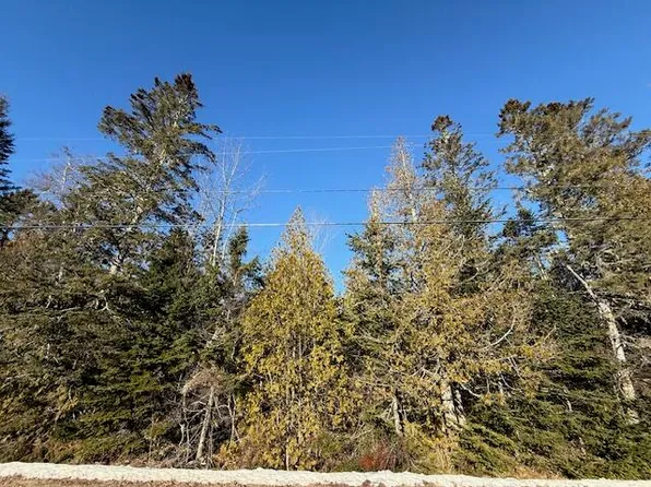 Lot 31 Gin Cove Road, Perry, ME 04667