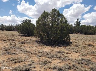 3933 Hidden Ranch Rd #56, Snowflake, AZ 85937