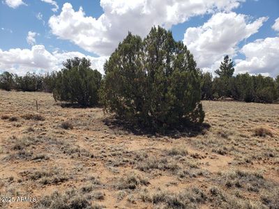 3933 HIDDEN RANCH Road #56, Snowflake, AZ, 85937