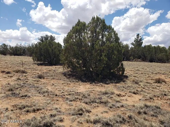 3933 HIDDEN RANCH Road #56, Snowflake, AZ 85937