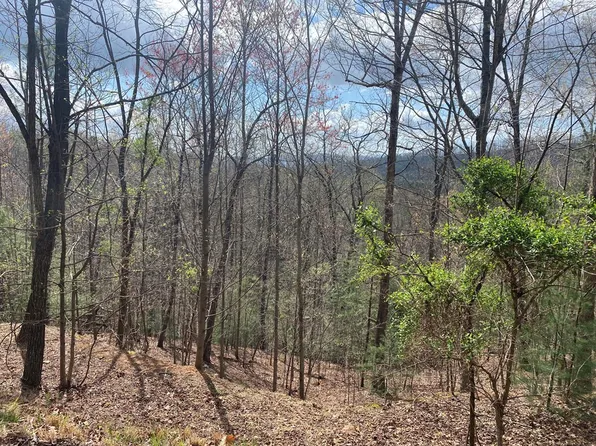 Lot 62 Jitterbug Lane, Murphy, NC 28906