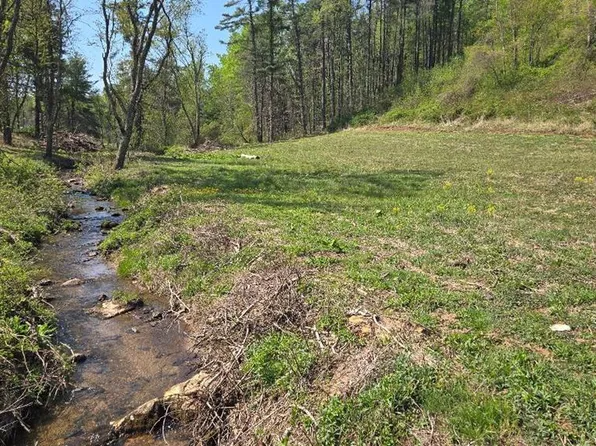 Tilley Ln, Fancy Gap, VA 24328