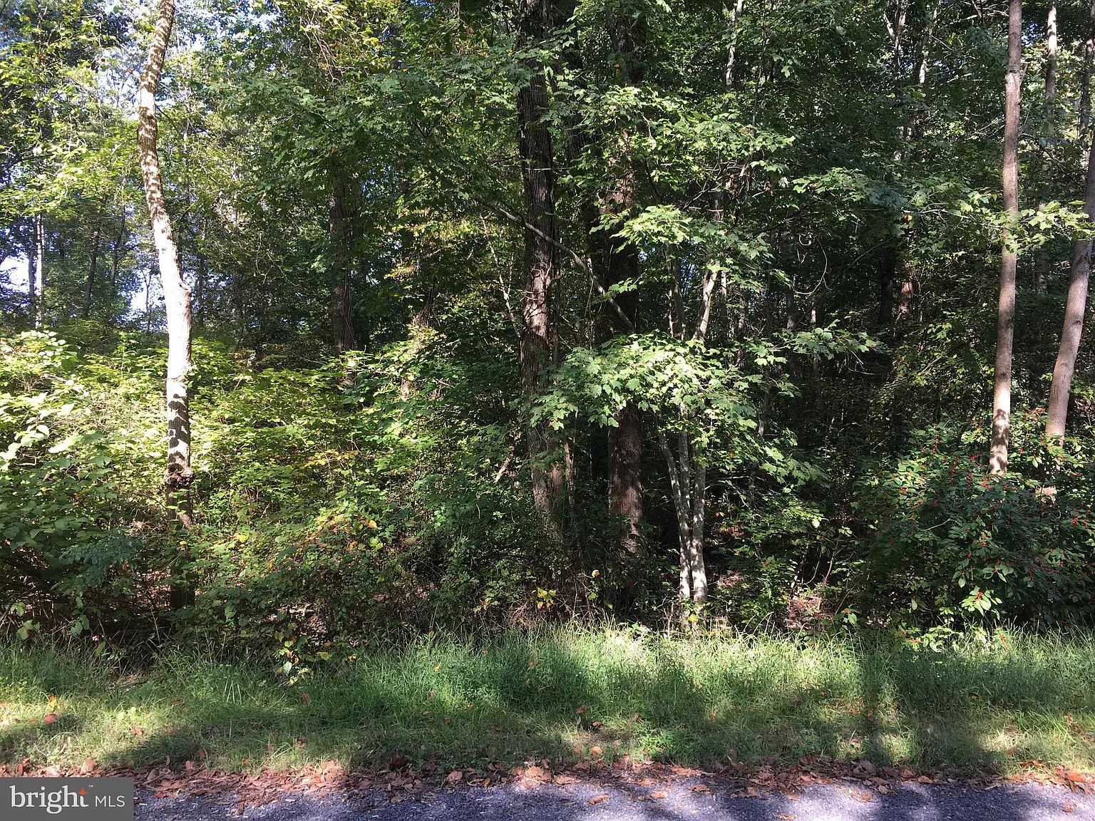 128 Saylers Creek Rd photo 1
