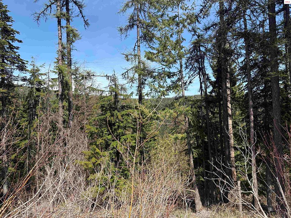 2nd image of Nka Parallel Run Lot 9A