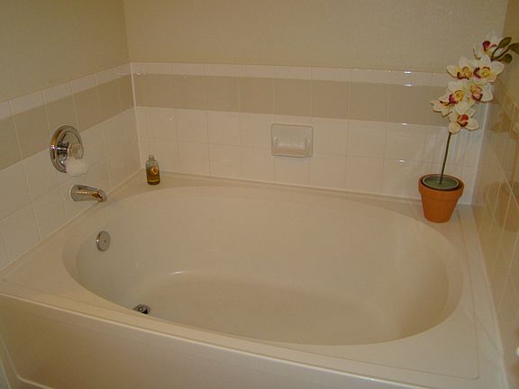 Master tub and separate shower