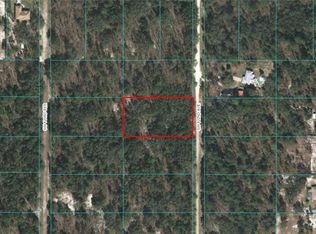 SW 122nd Ave, Dunnellon, FL 34432