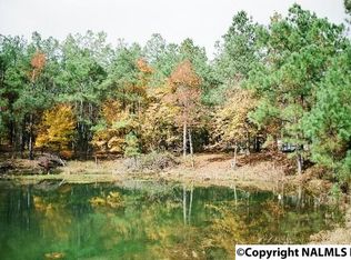 1041 County Road 277, Fort Payne, AL 35967