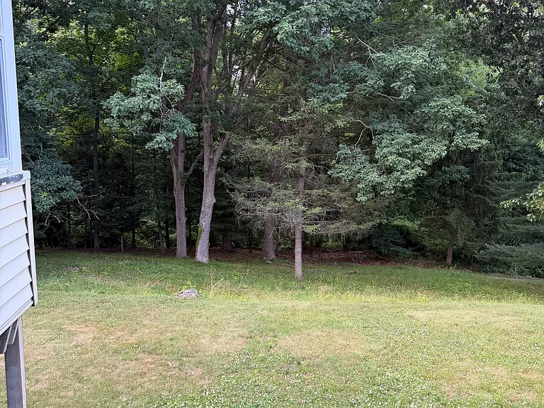 Longview Ln — Photo 17