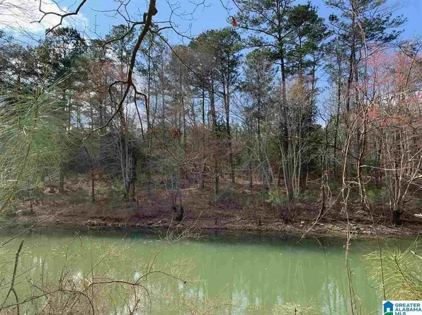 0 Long Pointe Rd #156/157, Double Springs, AL 35553