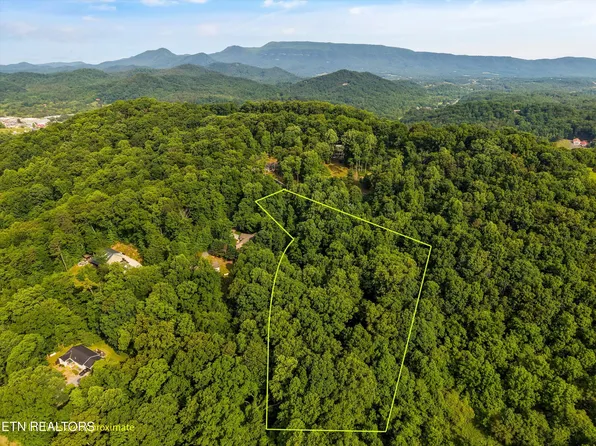 Country Mountain Rd Lot 11, Cosby, TN 37722