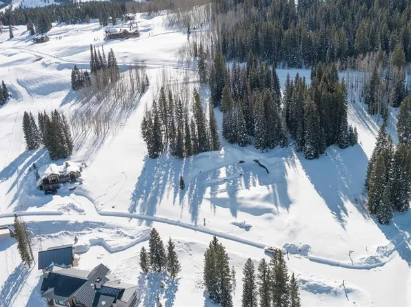 104 Bear Scratch Lane, Mt. Crested Butte, CO 81225