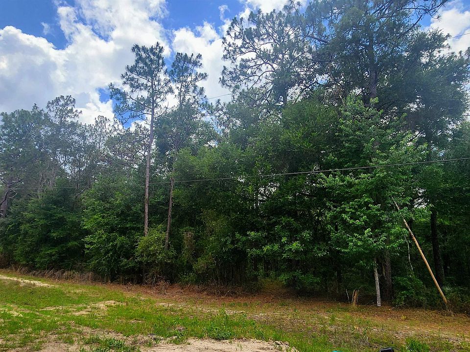 2nd image of 415 Pheasant Rd