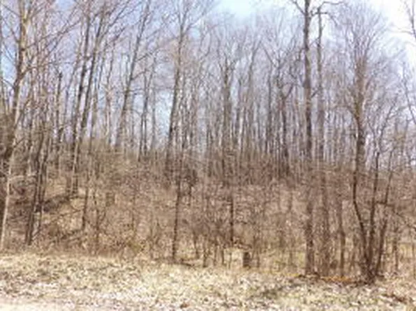 23098 Miramichi Dr, Evart, MI 49631