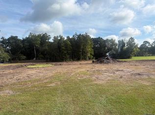 43046 Weber City Rd, Gonzales, LA 70737