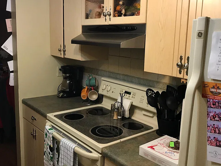 1462 Spreading Oak Dr — Photo 4