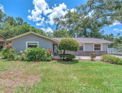2412 Giddens Ave, Seffner, FL, 33584