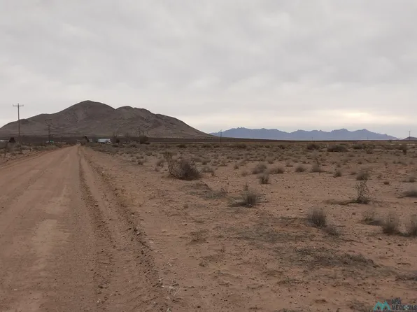 Red Onion Rd SW, Deming, NM 88030