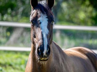 25230 Jesmond Dene Rd, Escondido, CA 92026