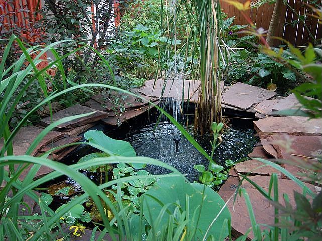 Fountain Feature