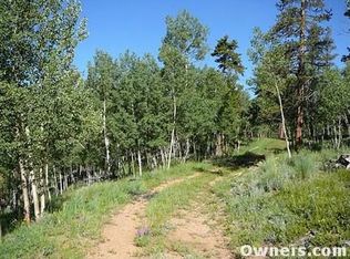 1440 Royal Ridge Dr, Bailey, CO 80421