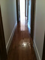 Rented by Anthony Mariano, lreb