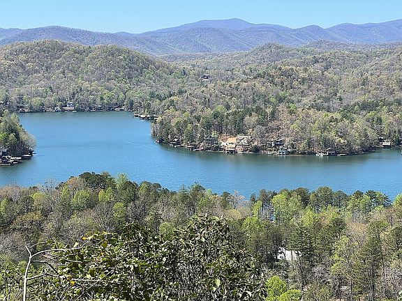 2nd image of 0 Burton Springs Trl