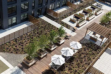 Rented by Domain Companies