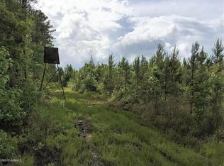 484 Azalea Patch Rd, Ruffin, SC 29475